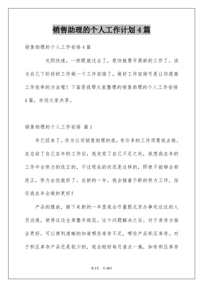 销售助理的个人工作计划4篇例文