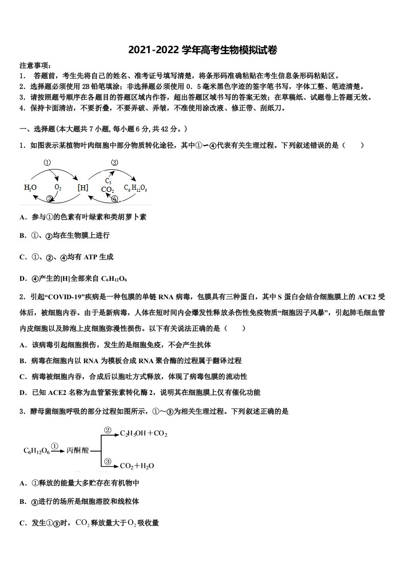 广东省-北京师范大学东莞石竹附属学校2022年高三冲刺模拟生物试卷含解析