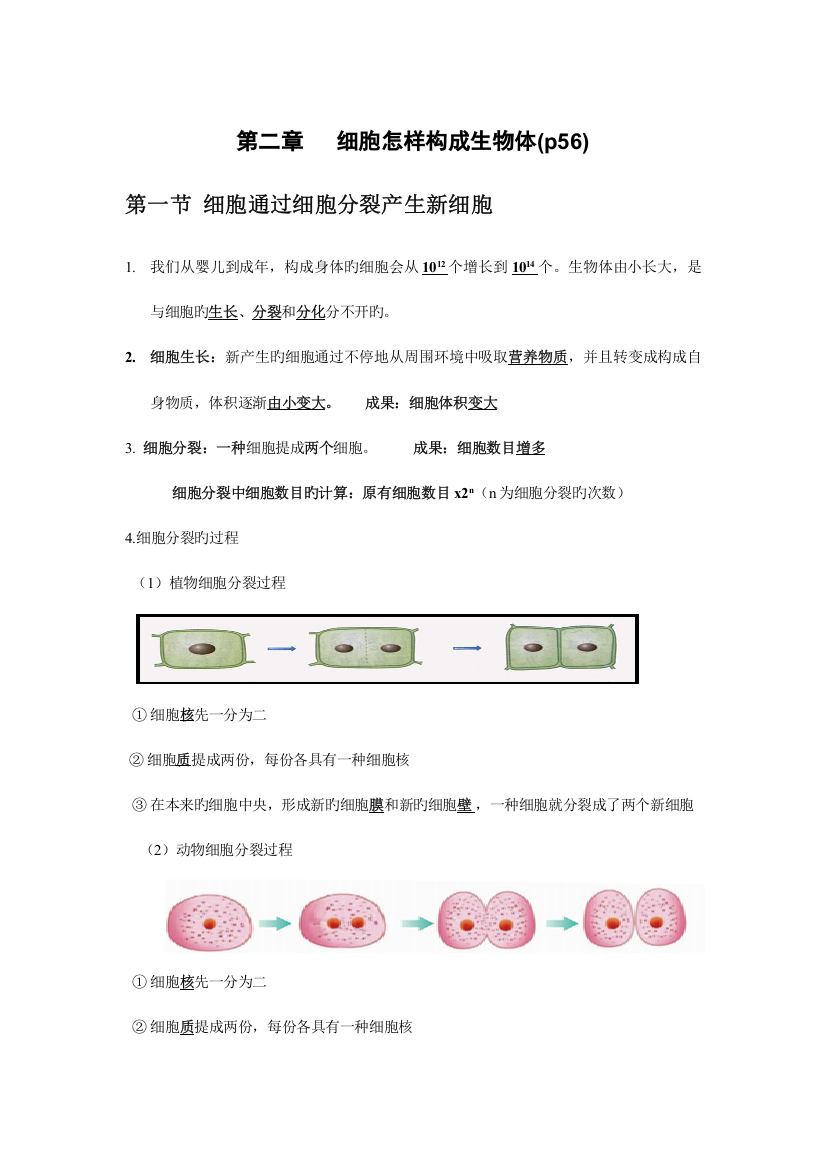 2023年细胞怎样构成生物体复习知识点