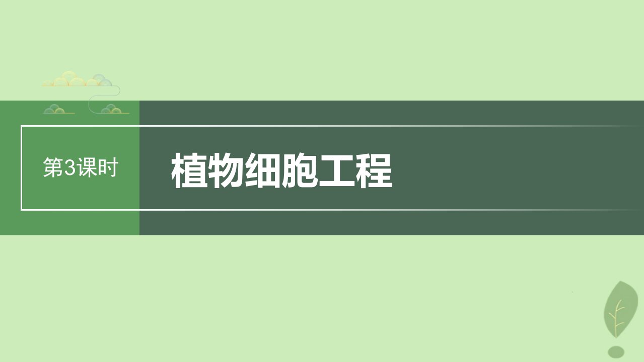 2024届高考生物一轮复习第十单元生物技术与工程第3课时植物细胞工程课件苏教版