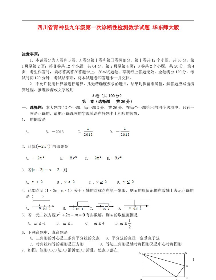 四川省青神县九级数学第一次诊断性检测试题