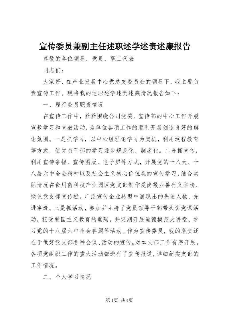 7宣传委员兼副主任述职述学述责述廉报告