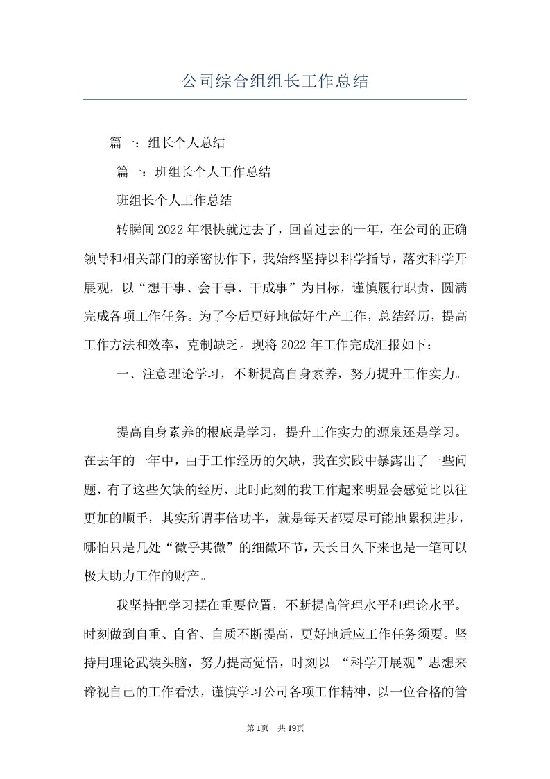 公司综合组组长工作总结