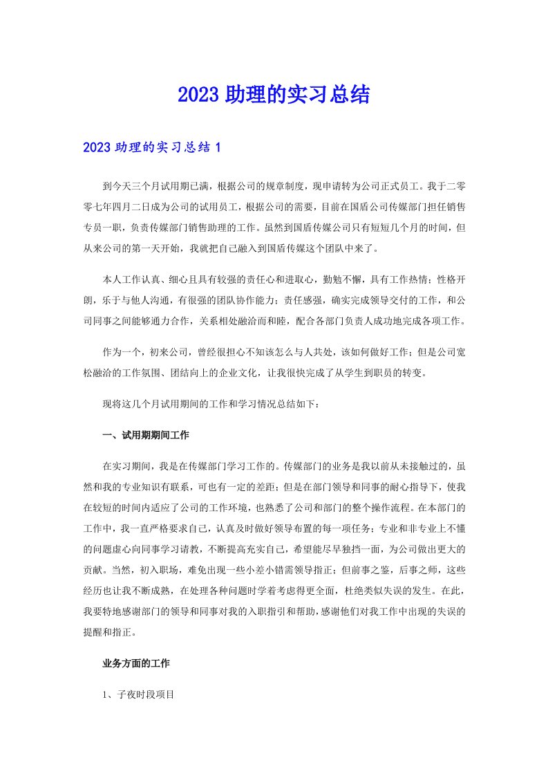 2023助理的实习总结