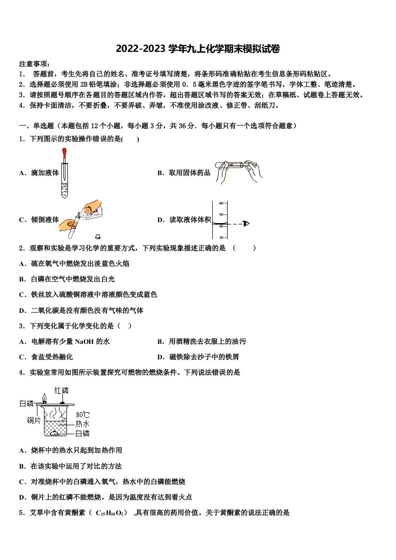 2023届四川省广安岳池县联考九年级化学第一学期期末学业质量监测模拟试题含解析