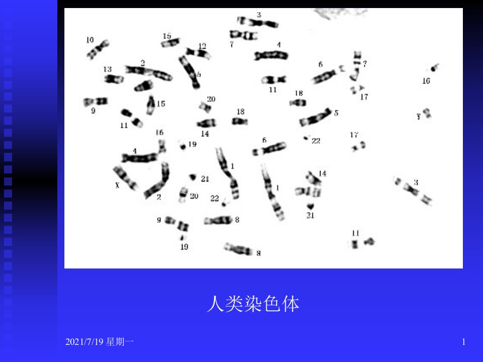 医学专题人类染色体和染色体病