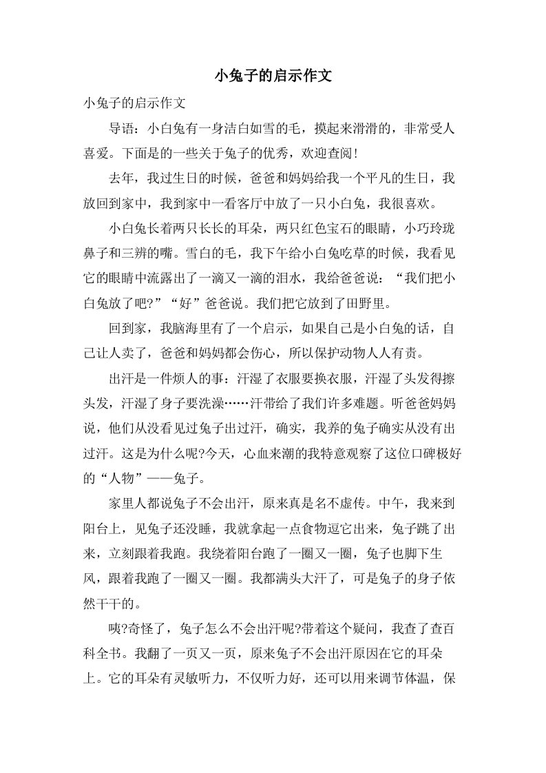 小兔子的启示作文