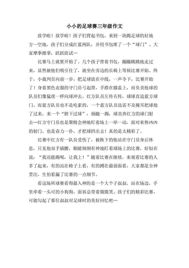 小小的足球赛三年级作文