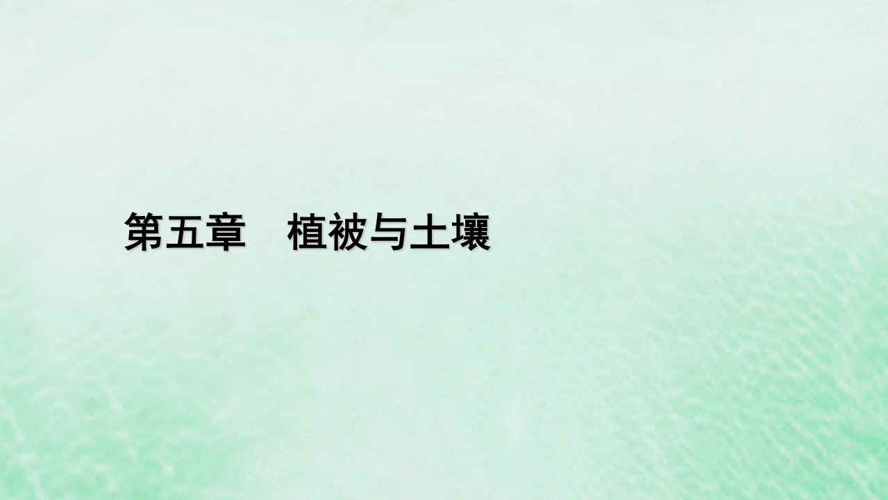 新教材适用2023_2024学年高中地理第5章植被与土壤第2节土壤课件新人教版必修第一册