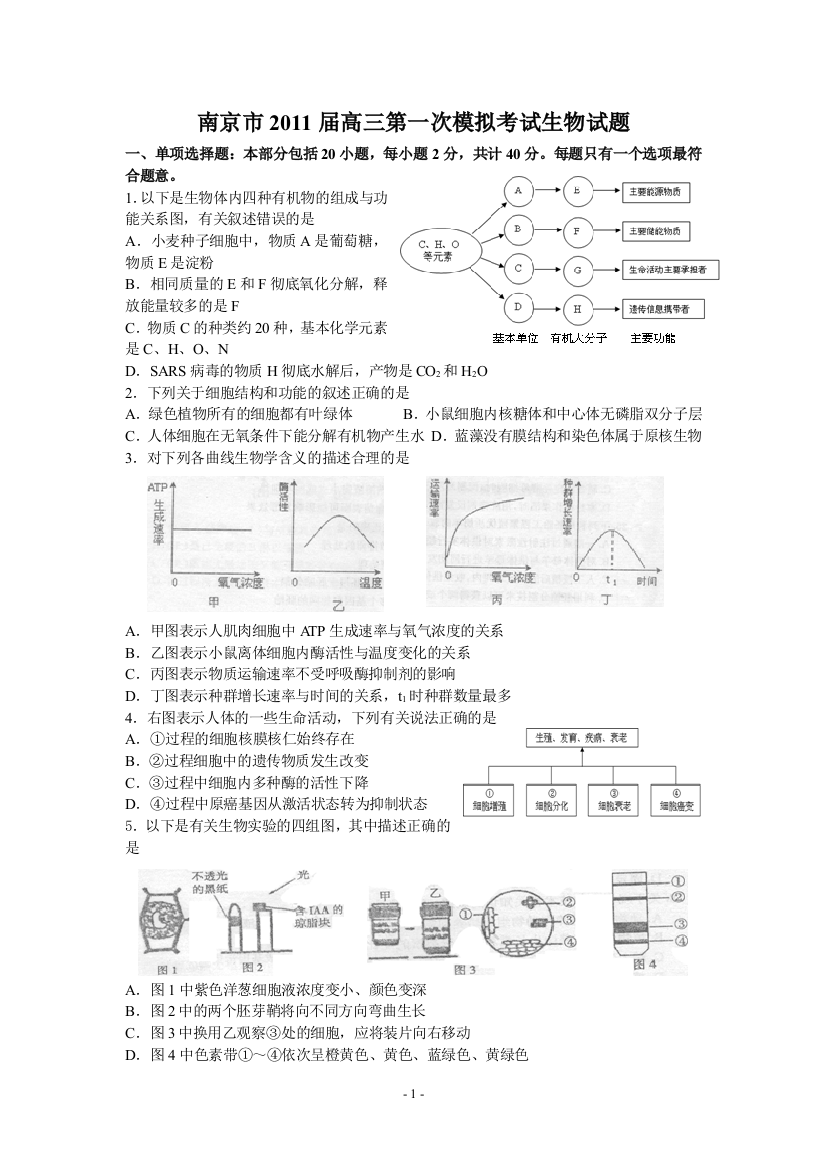 江苏省南京市2011届高三第一次模拟考试(生物)(word版)