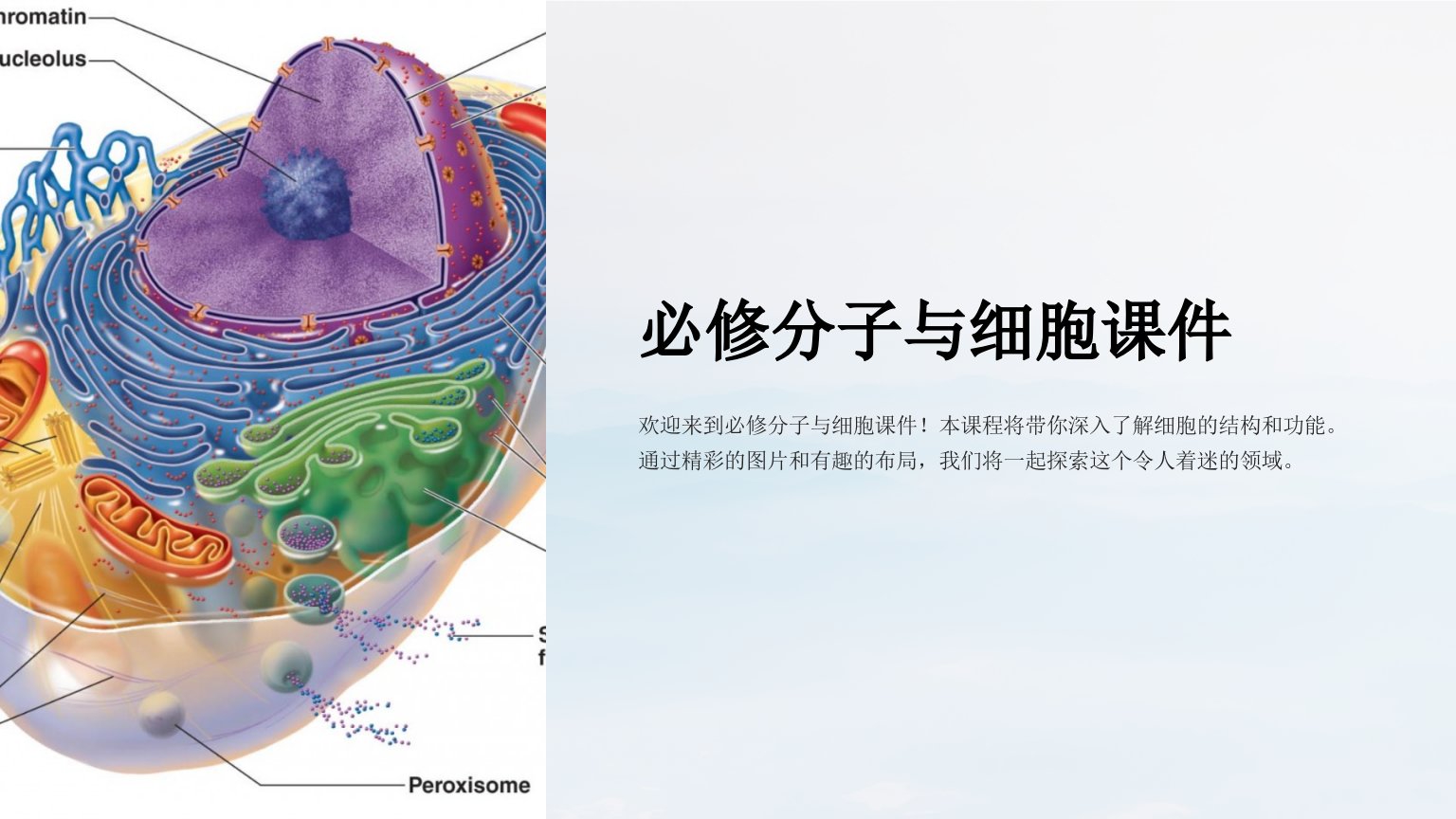 必修分子与细胞课件