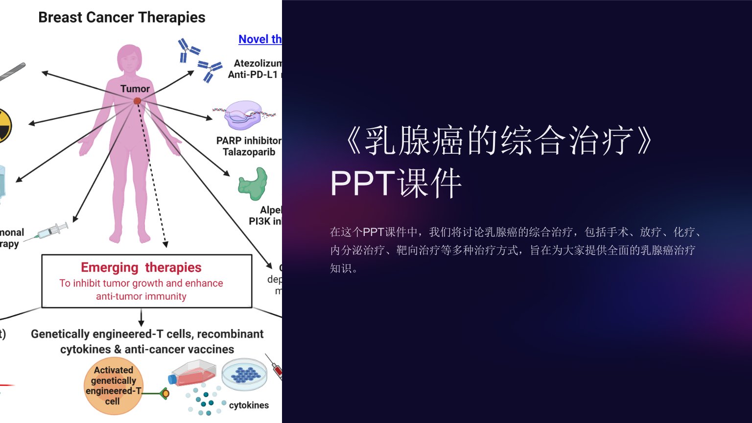 《乳腺癌的综合治疗》课件