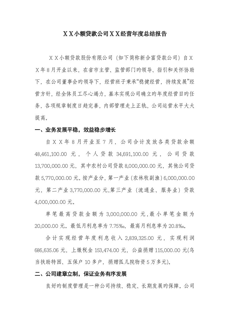 小额贷款公司经营年度总结报告