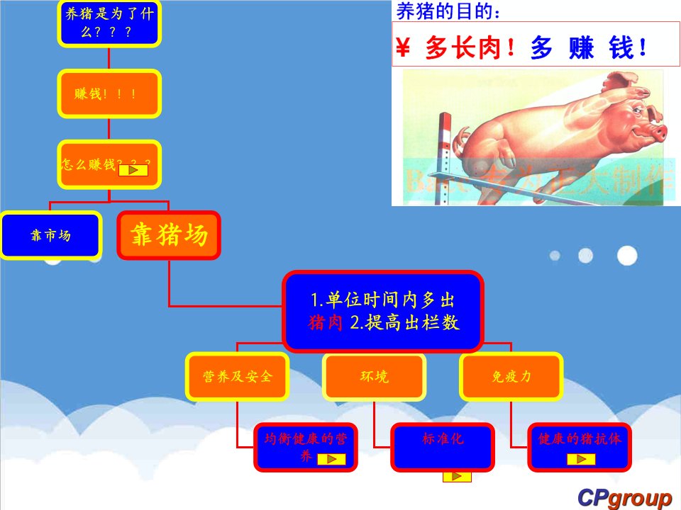 成本管理-低成本高效益养猪的技巧