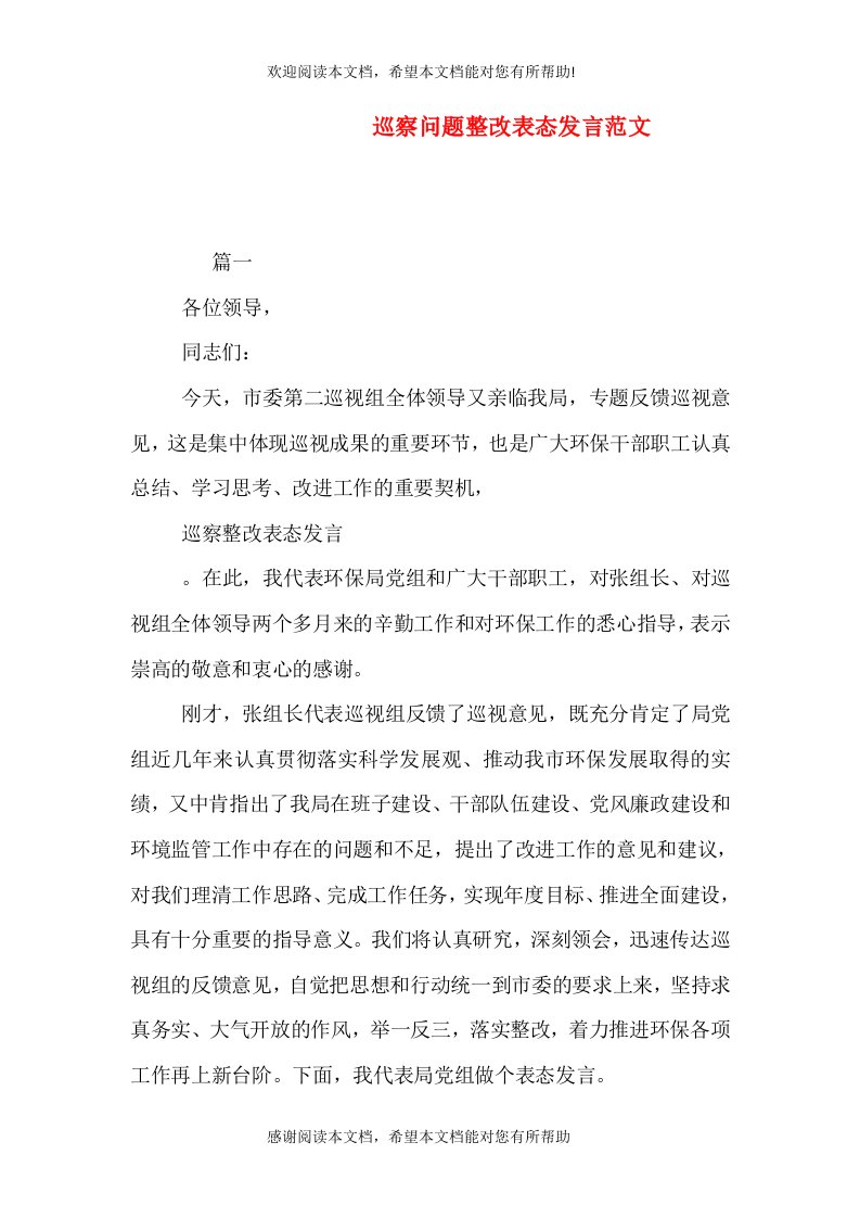 巡察问题整改表态发言范文