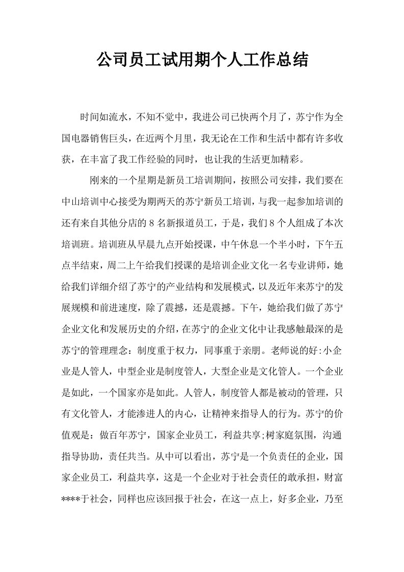 公司员工试用期个人工作总结