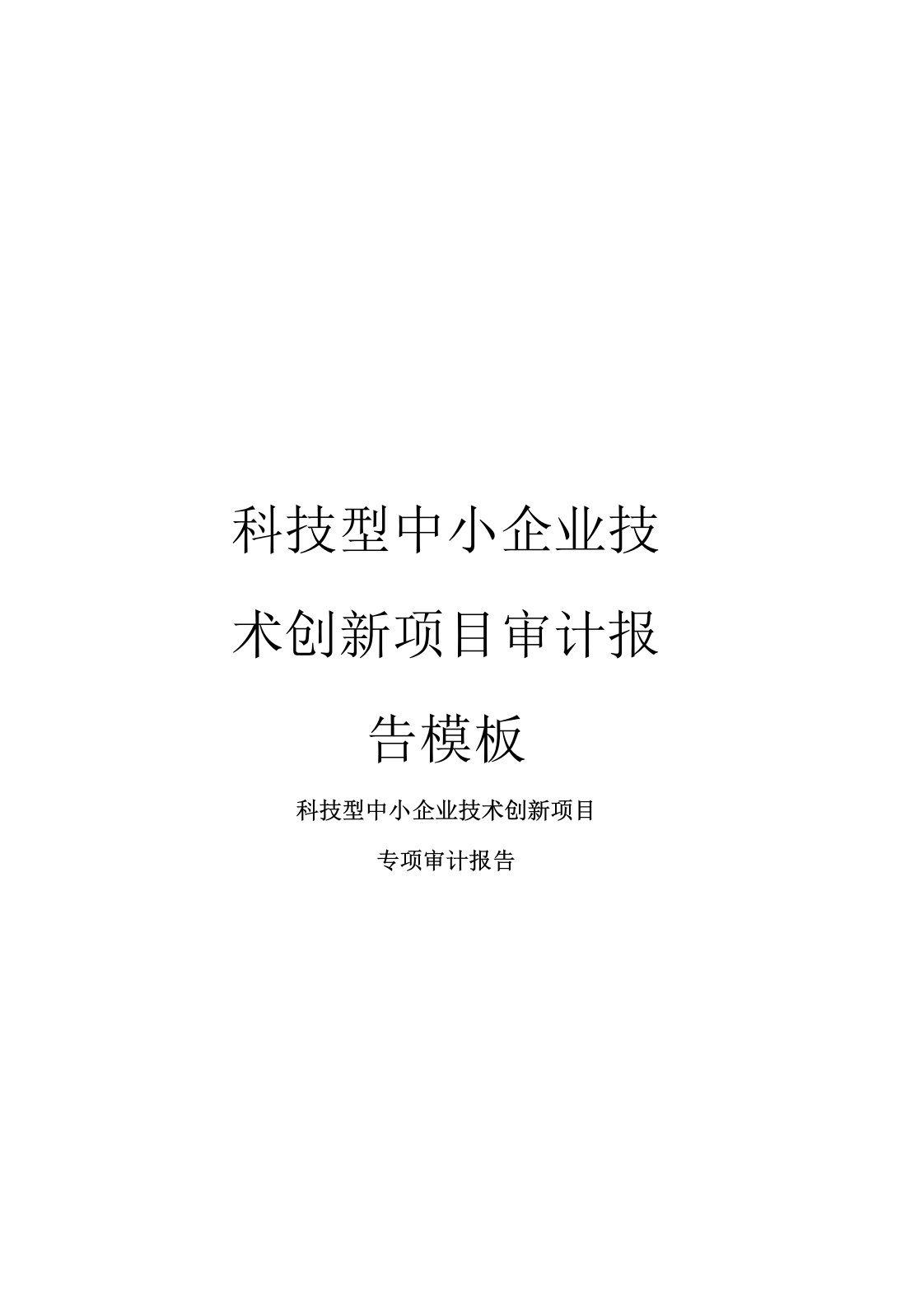 科技型中小企业技术创新项目审计报告模板