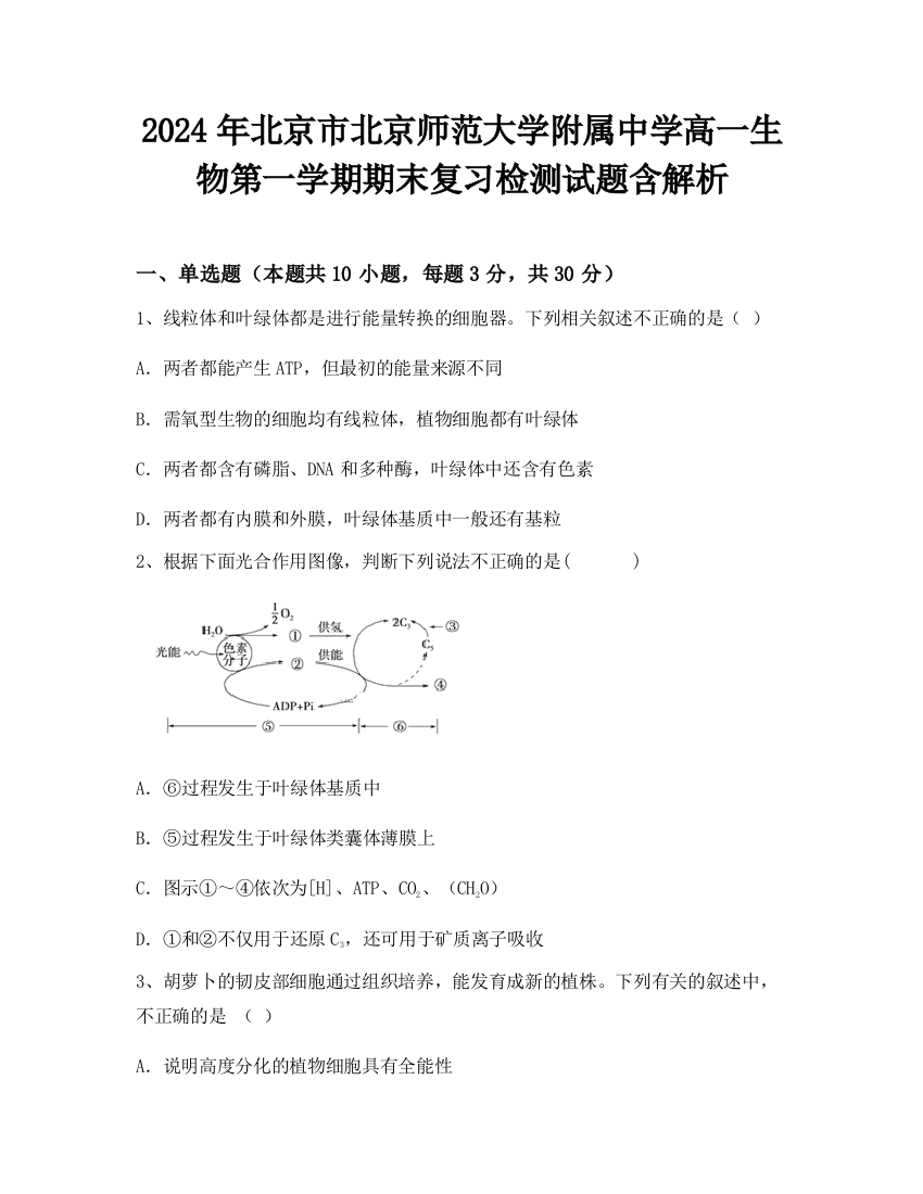 2024年北京市北京师范大学附属中学高一生物第一学期期末复习检测试题含解析