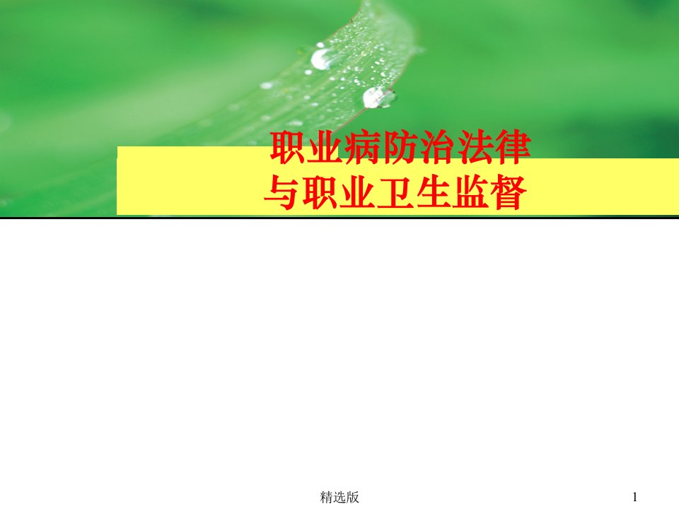 职业病防治法律与职业卫生监督ppt课件