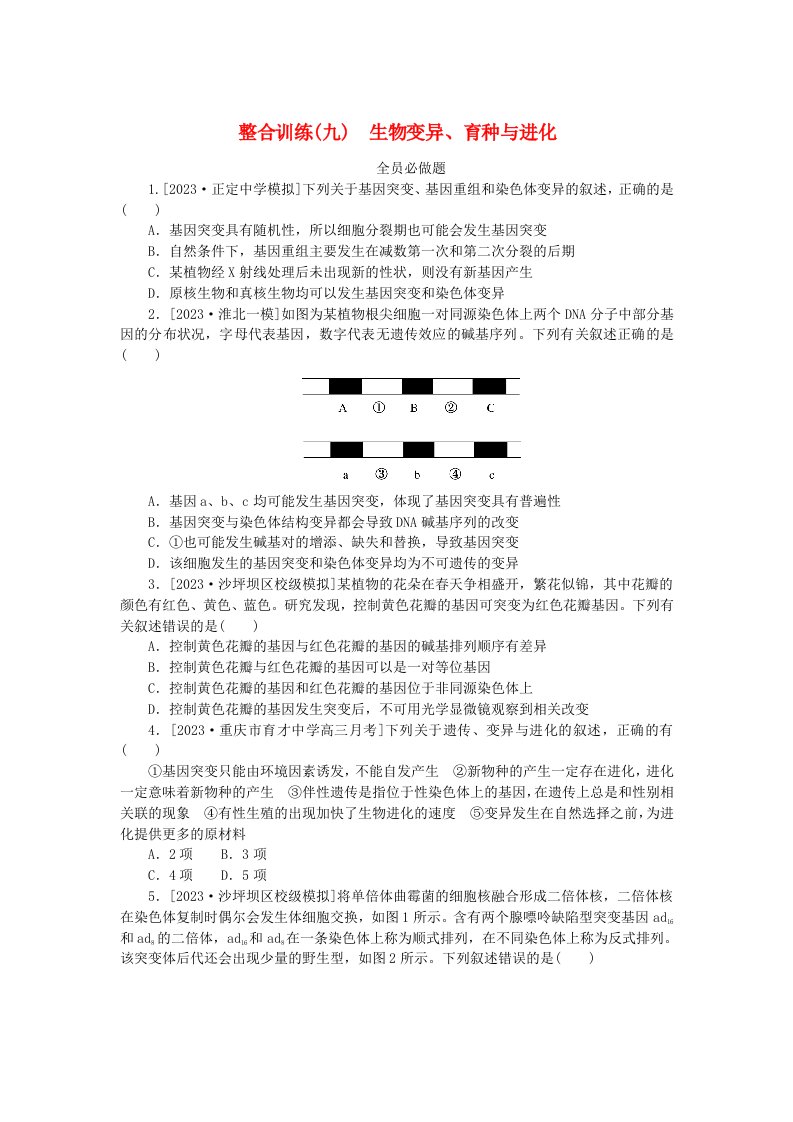 统考版2024高考生物二轮专题复习整合训练9生物变异育种与进化