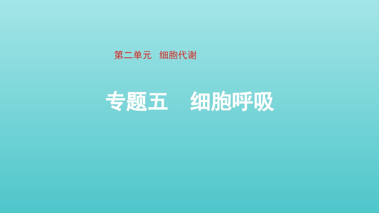 通用版2022届高考生物一轮复习专题五细胞呼吸课件