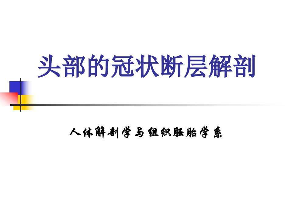 头部的冠状断层解剖