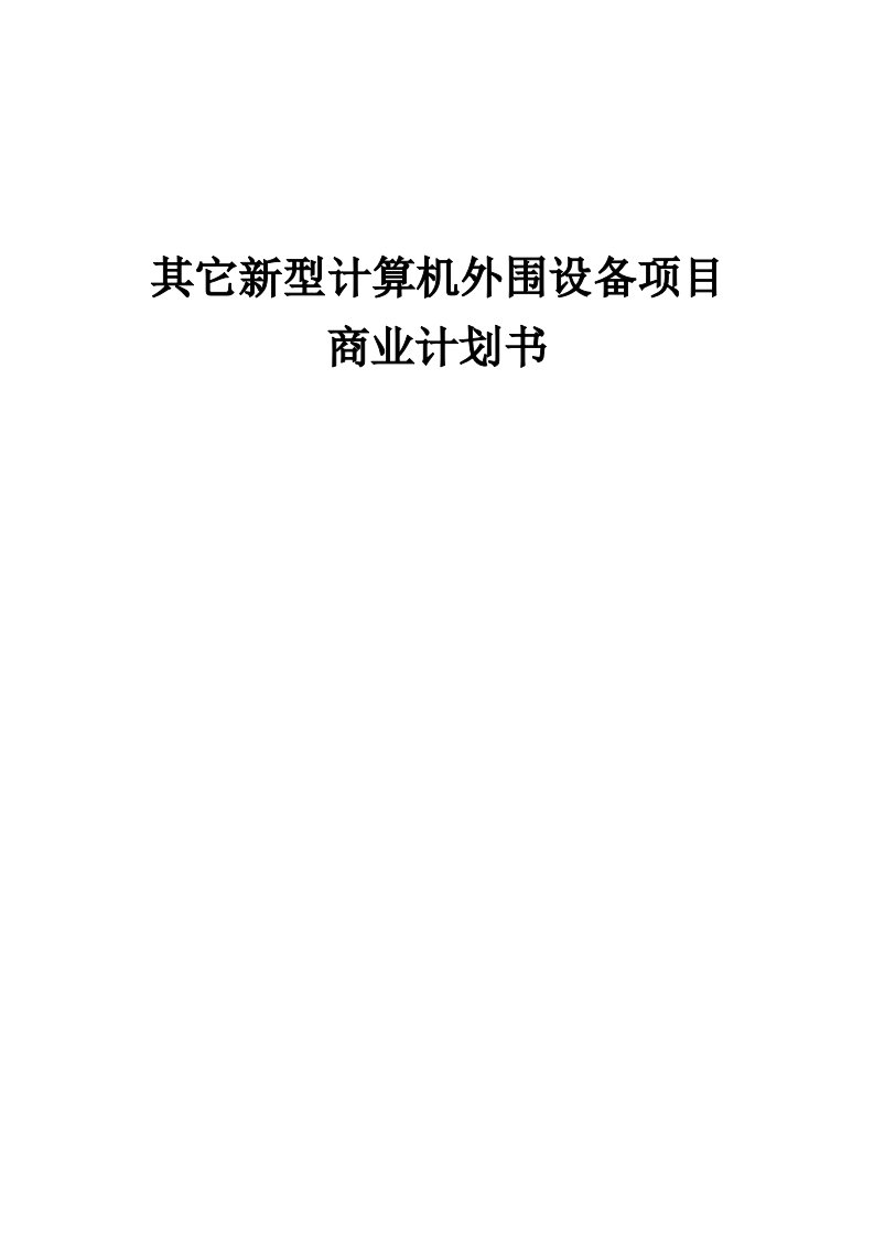 其它新型计算机外围设备项目商业计划书