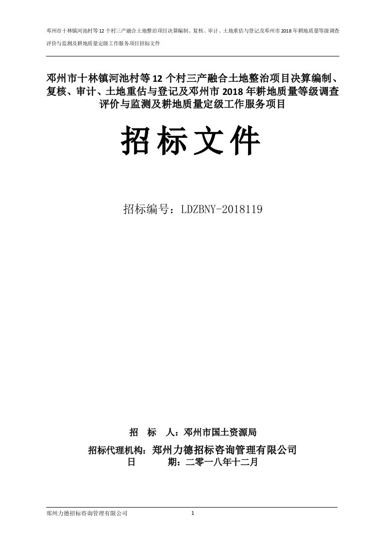 邓州市十林镇河池村等12个村三产融合土地整治项目决算编制