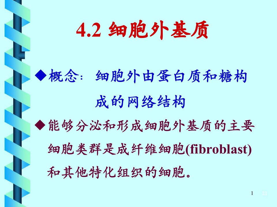 细胞生物学中文课件3b细胞外基质