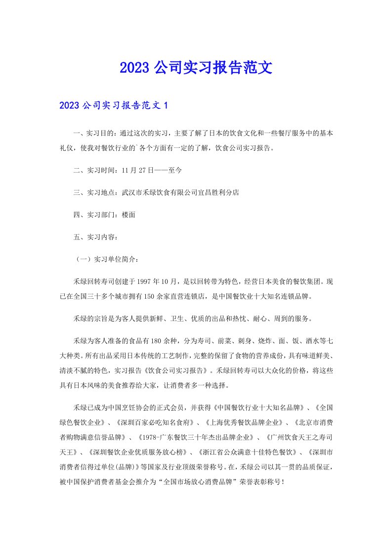 2023公司实习报告范文