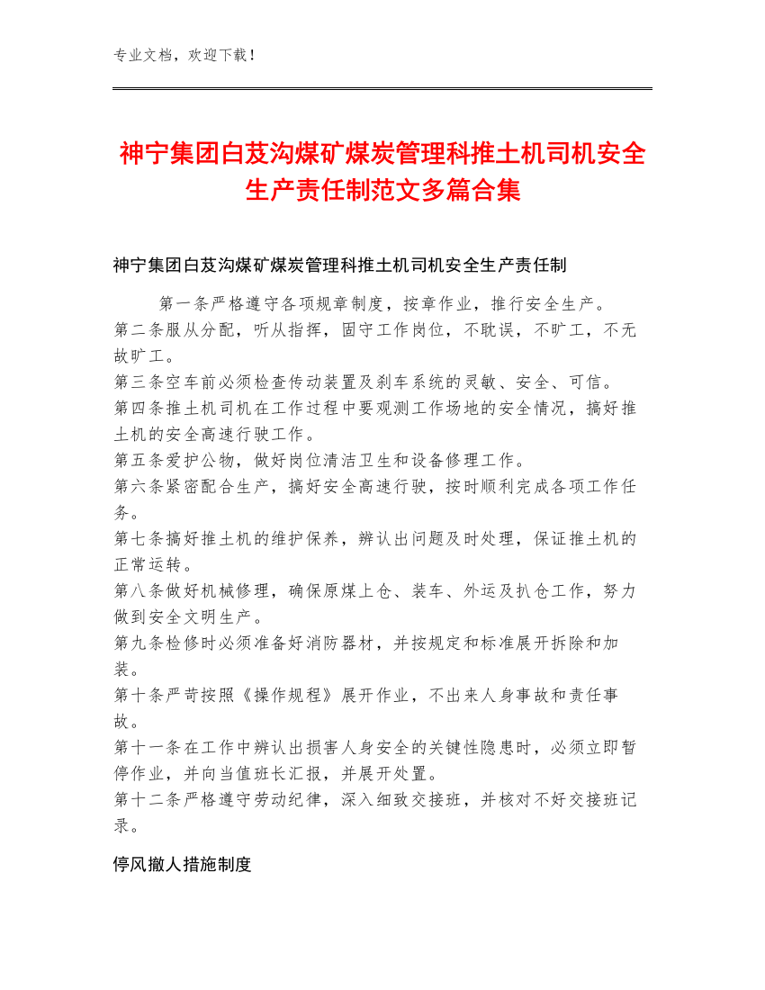 神宁集团白芨沟煤矿煤炭管理科推土机司机安全生产责任制范文多篇合集