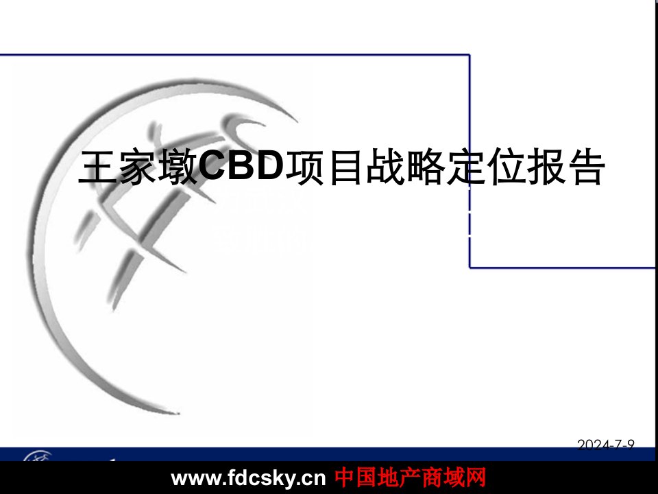 2005年武汉王家墩CBD项目战略定位报告