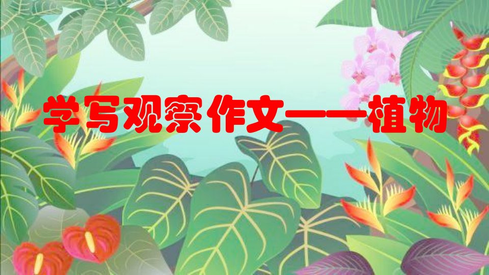 人教版小学语文四年级上册《习作学写观察作文——植物》课件