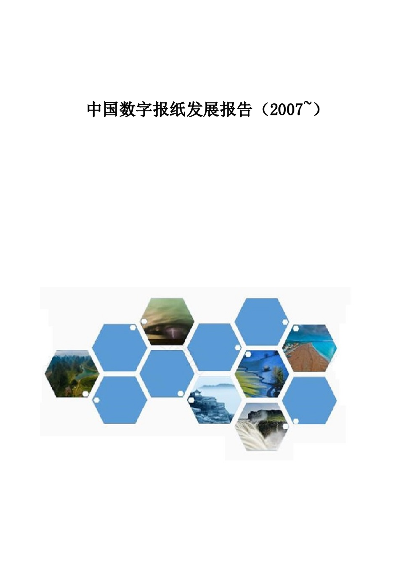 中国数字报纸发展报告(2007-)