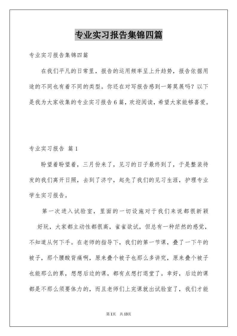 专业实习报告集锦四篇例文