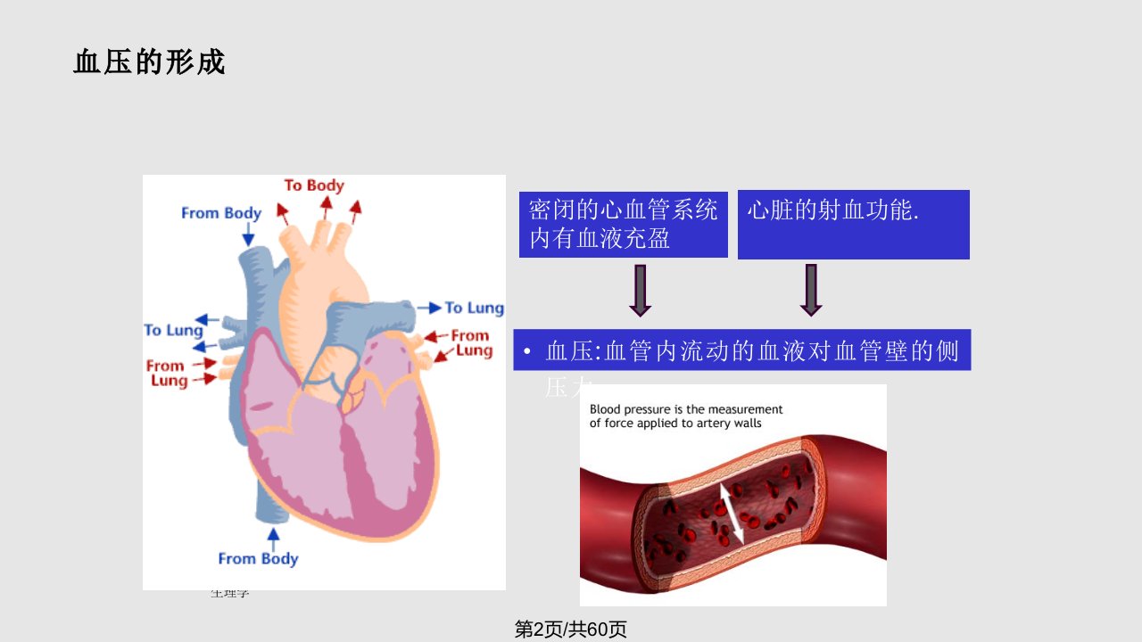 肺动脉高压相关疾病知识