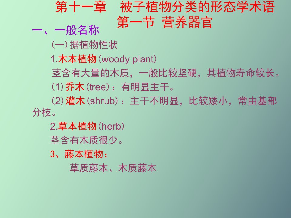 被子植物分类的形态学术语