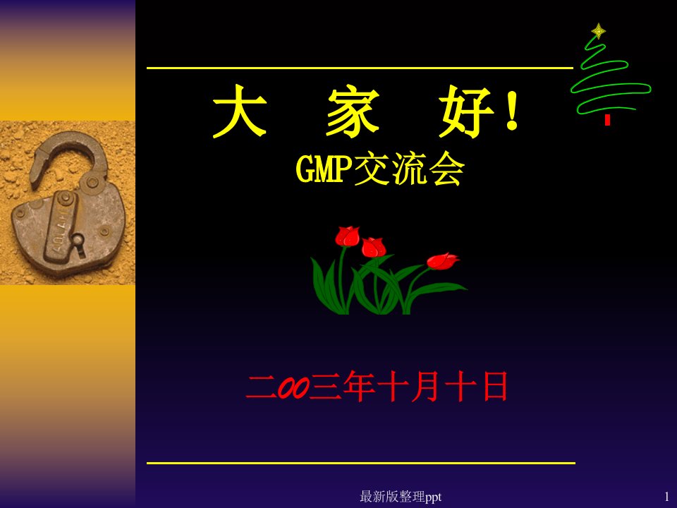 GMP检查细则ppt课件