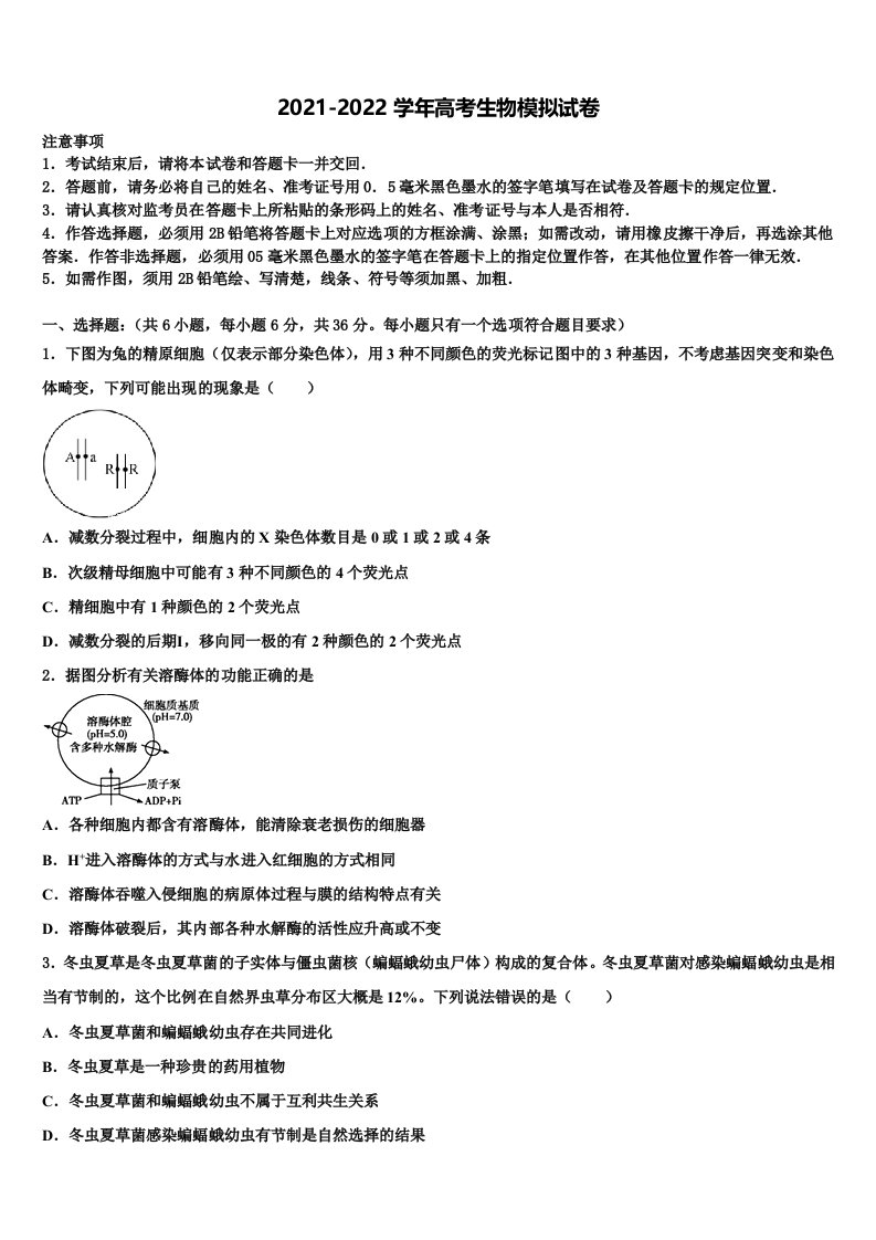 2022届吉林大学附属中学高三（最后冲刺）生物试卷含解析