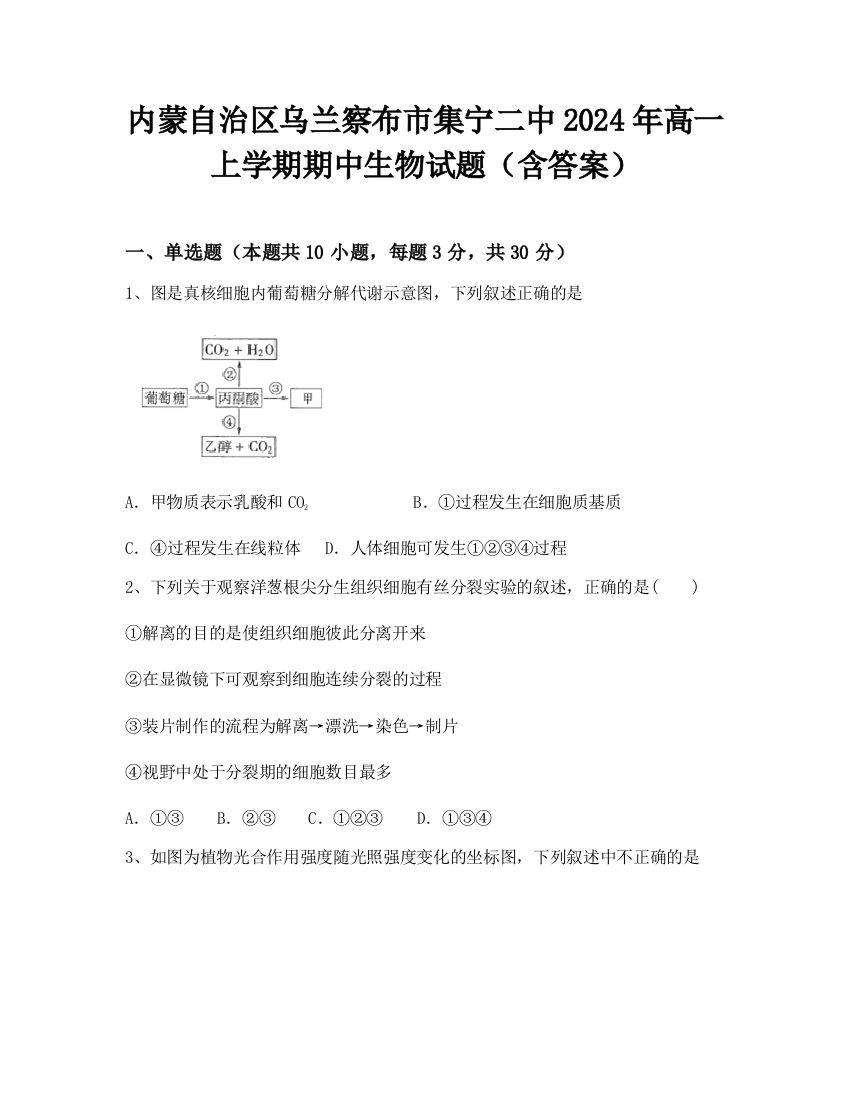 内蒙自治区乌兰察布市集宁二中2024年高一上学期期中生物试题（含答案）