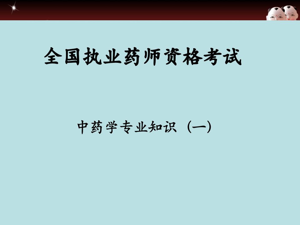 执业药师中药学总论课件