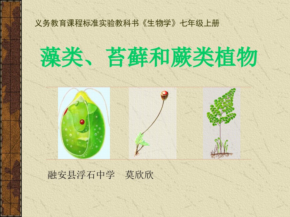 初中生物《藻类、苔藓和蕨类植物_》ppt课件[1]