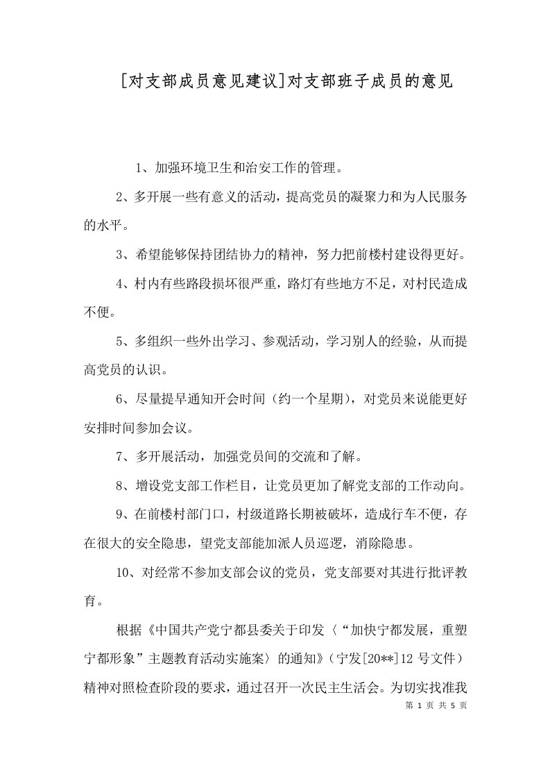 精选对支部成员意见建议对支部班子成员的意见