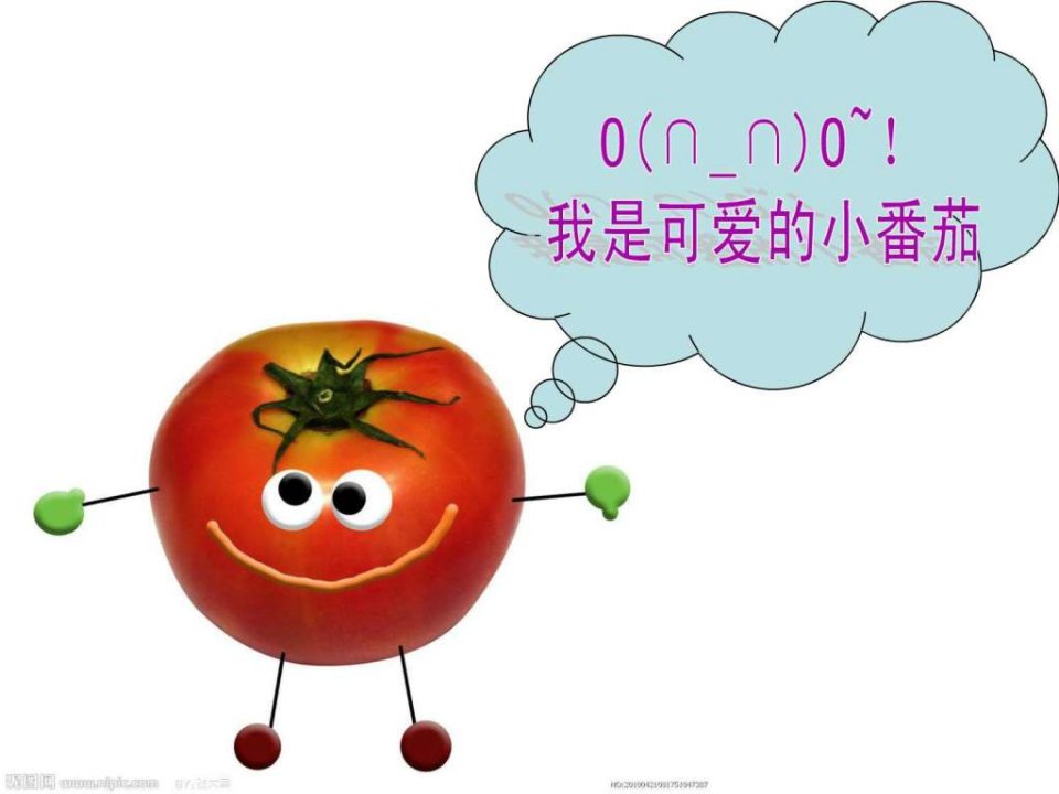 红番茄上课课件.ppt