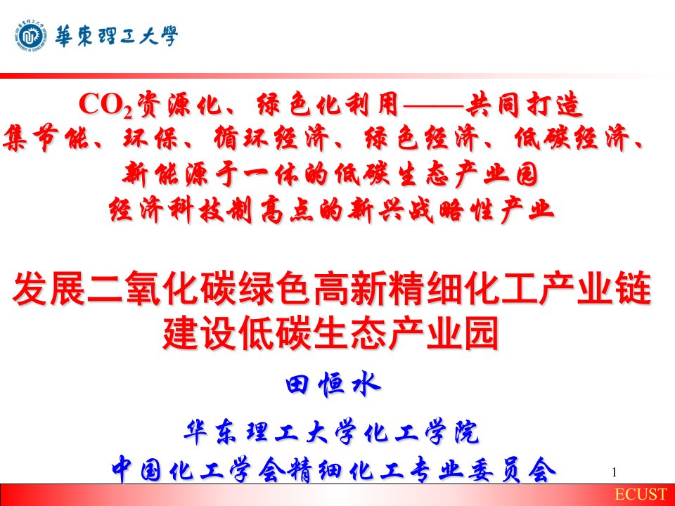 发展二氧化碳绿色高新精细化工产业链--田恒水