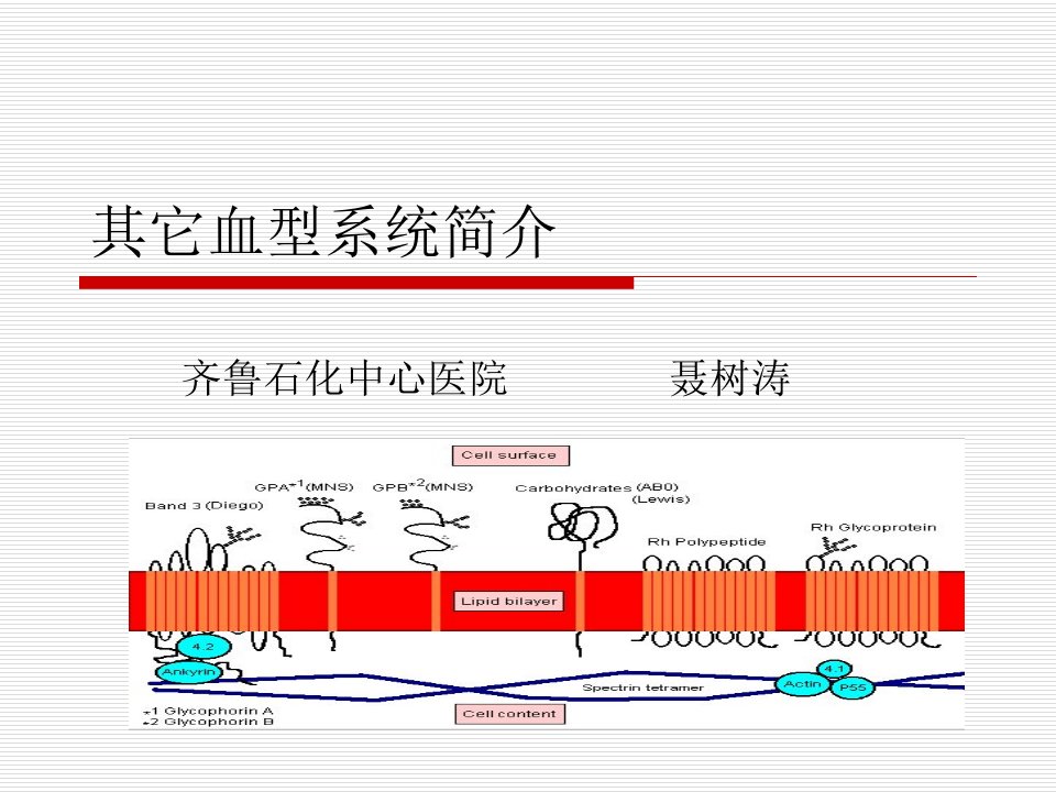 其它血型系统简介