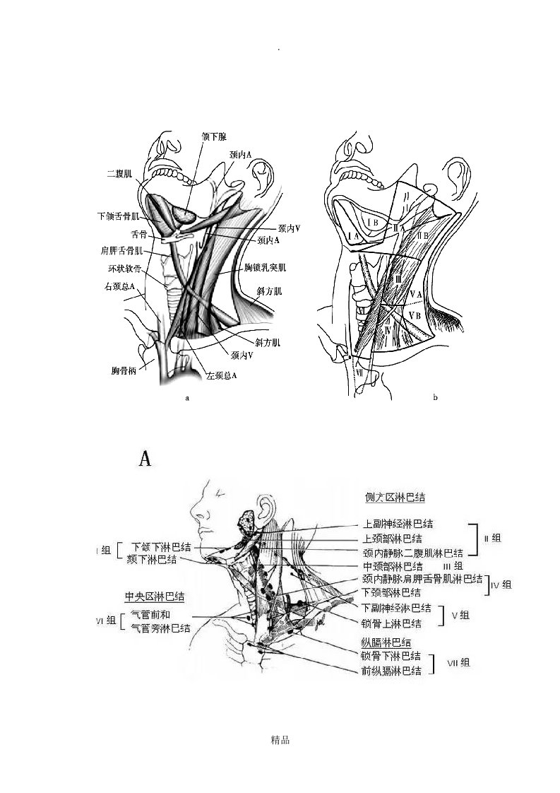 甲状腺淋巴结分区示意图