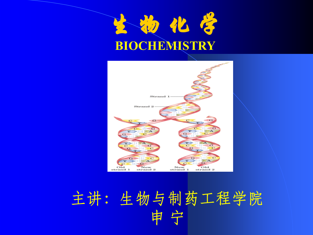 (完整版)第一章-生物化学绪论