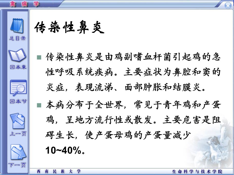 精品课程《禽病学》ppt