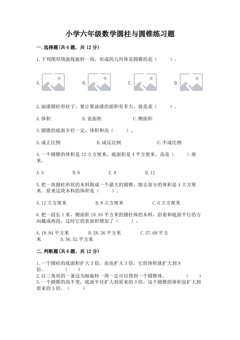 小学六年级数学圆柱与圆锥练习题精品【典优】